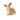 Lapin