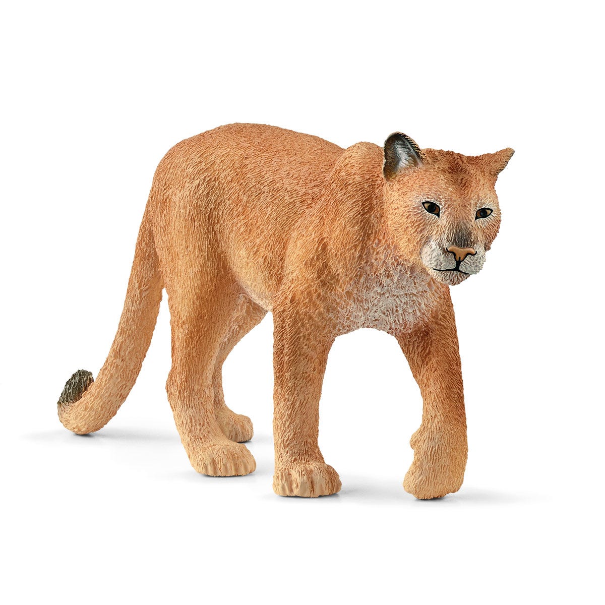puma animaux