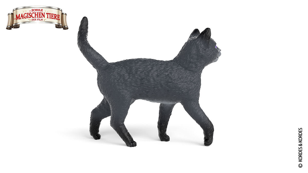 Karajan le chat