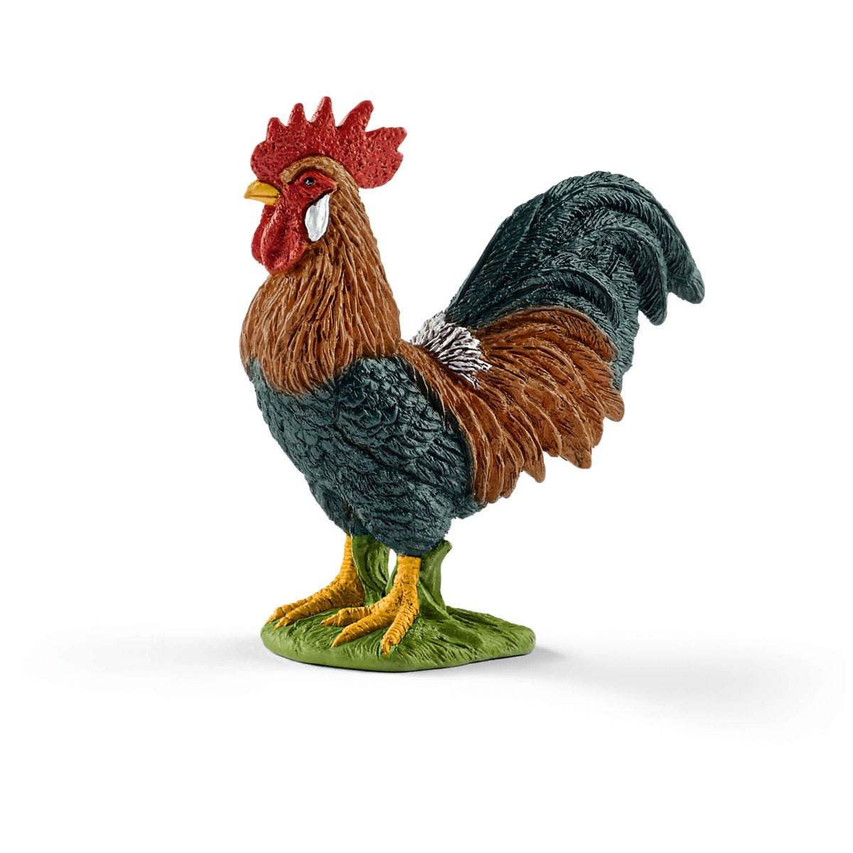 Coq