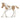 Poulain Paint Horse