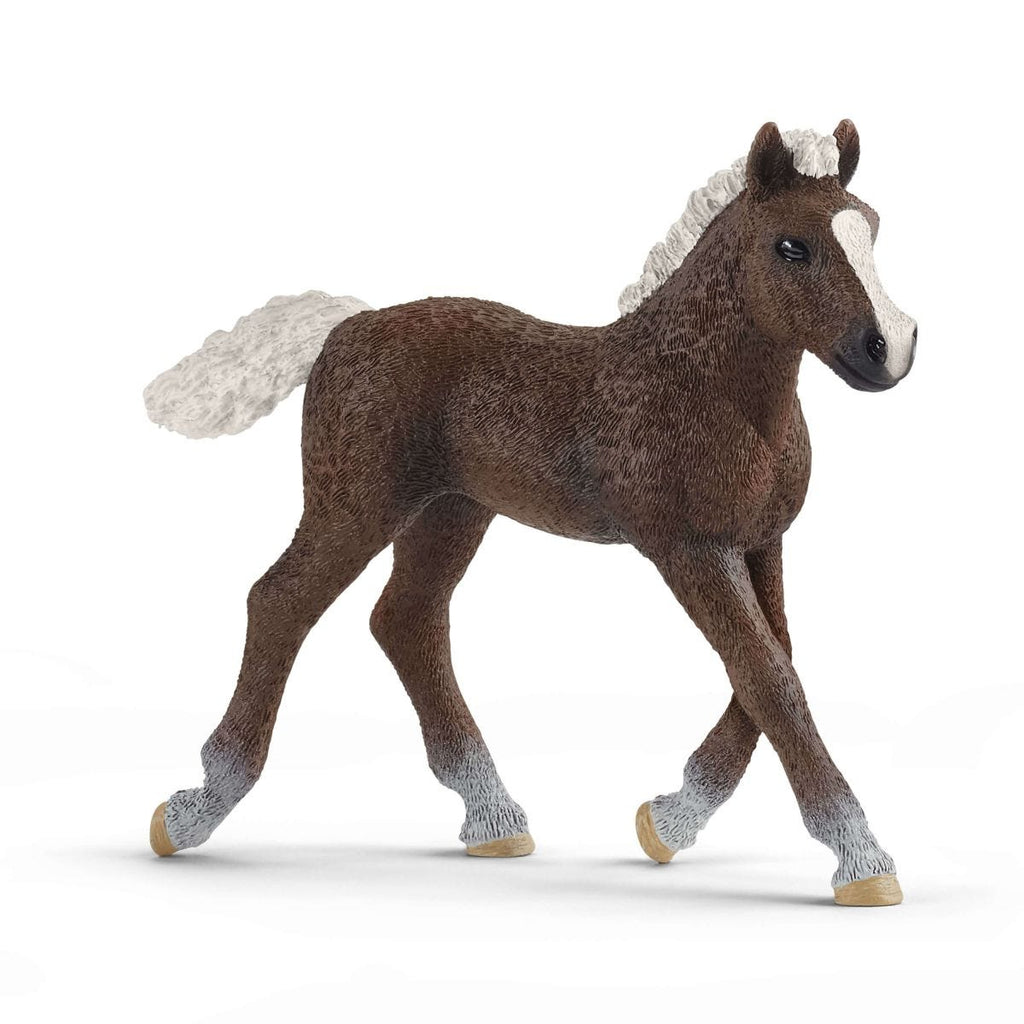 Schleich - 13665 - Figurine - Animaux - Poulain Forêt Noire Schleich - 13665 - Figurine - Animaux - Poulain Forêt Noire
