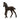 Poulain Frison