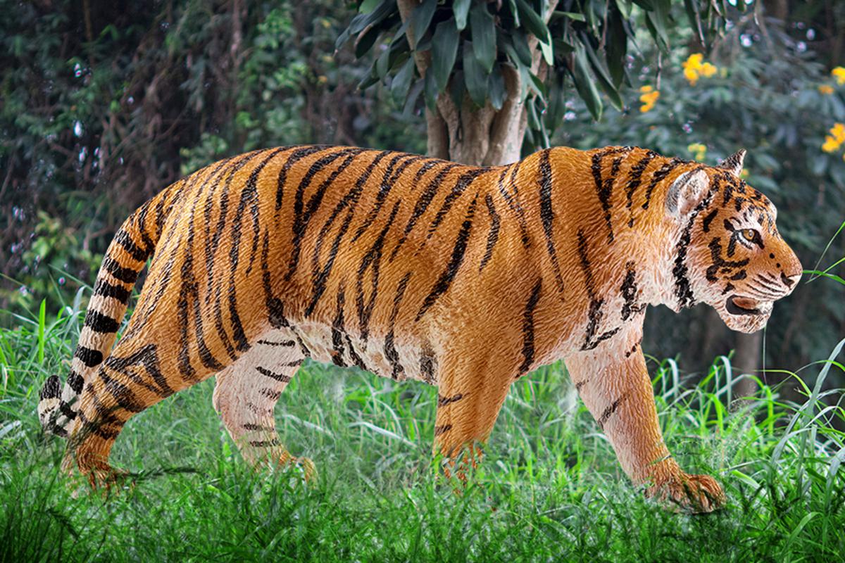 Schleich Wild Life – Figurine Tigre Du Bengale Mâle (14729) – Jouet Réaliste Et Peint à La Main Schleich Wild Life – Figurine Tigre Du Bengale Mâle (14729) – Jouet Réaliste Et Peint à La Main