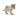 Bébé tigre blanc