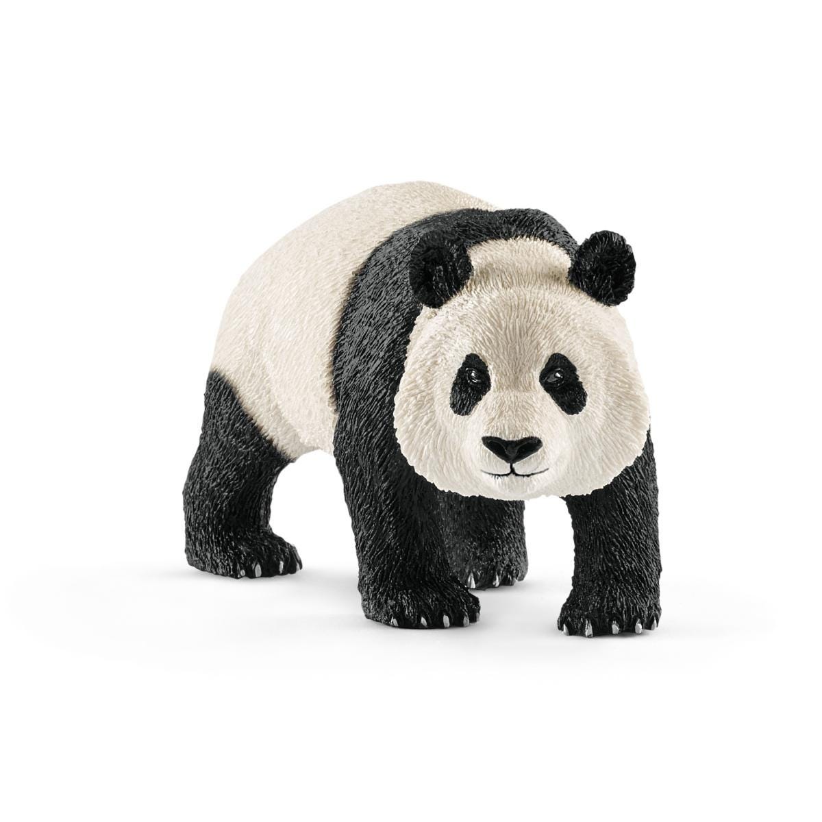 Großer Panda