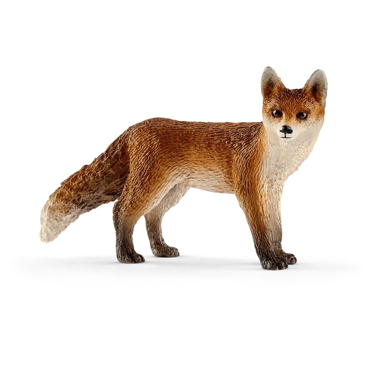 Renard