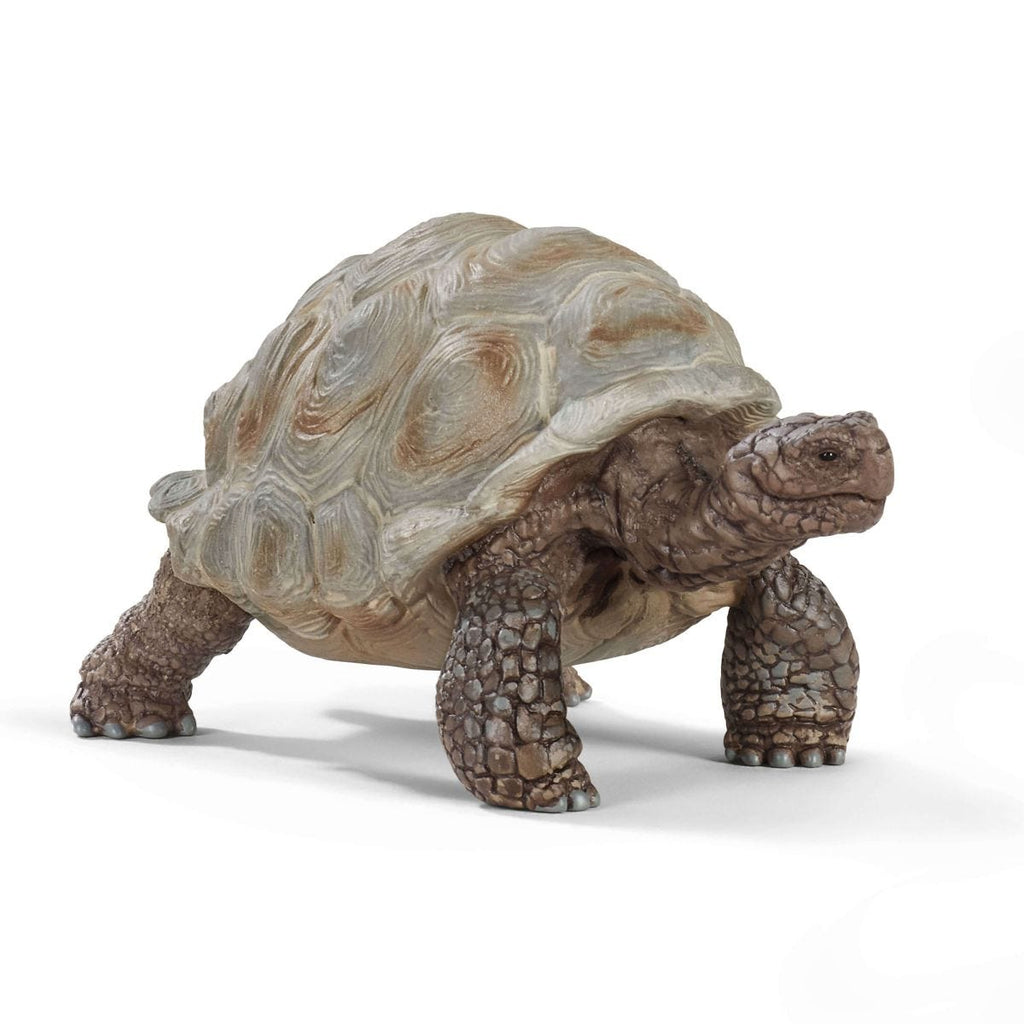 Tortue de mer 14876 WILD LIFE | schleich