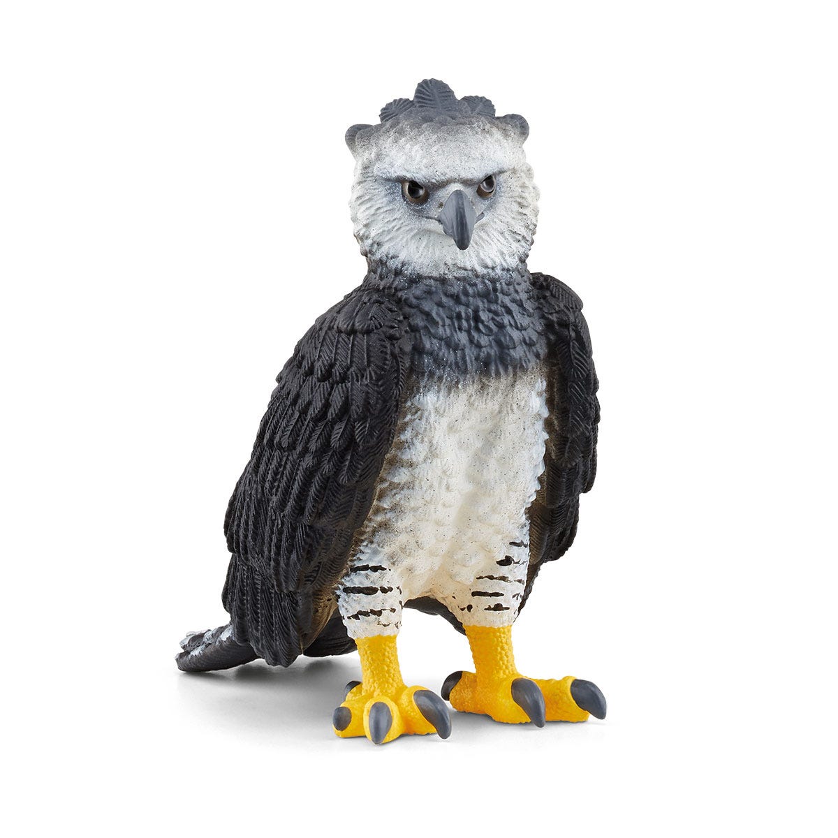 Harpie féroce adulte - dape126336 Harpie féroce adulte - dape126336