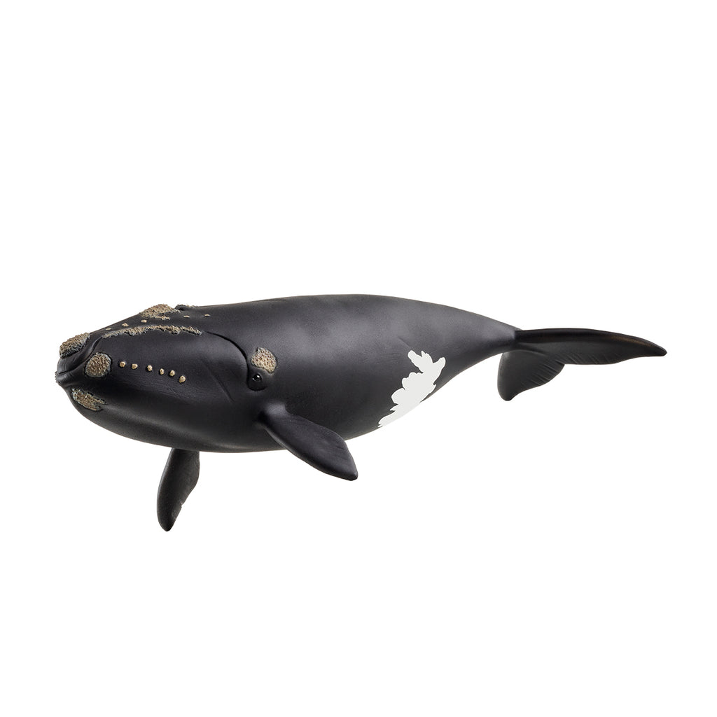 Baleine de l'Atlantique 14878 WILD LIFE | schleich