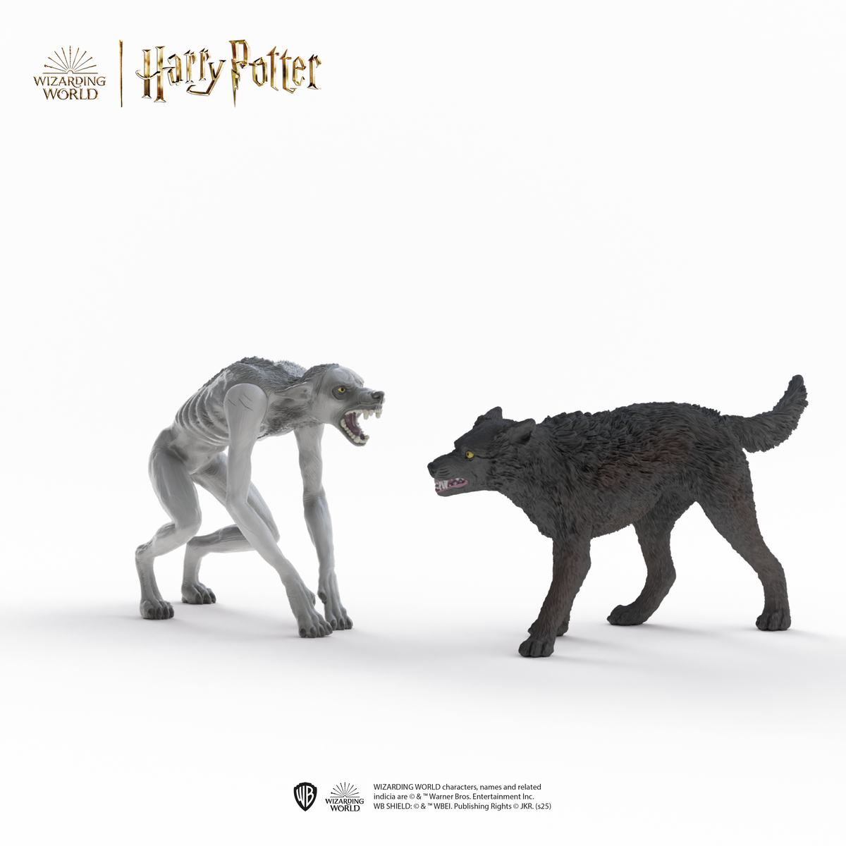 Loup-garou contre Animagus