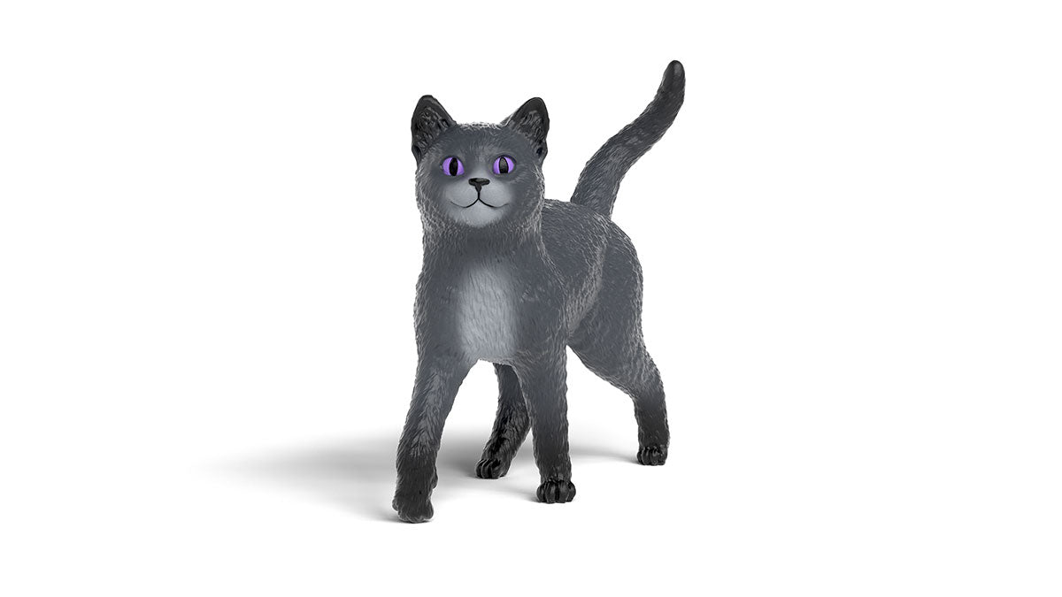 Karajan der Kater