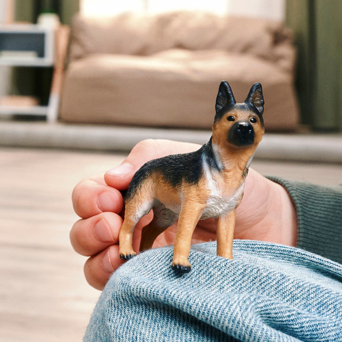 Berger allemand femelle