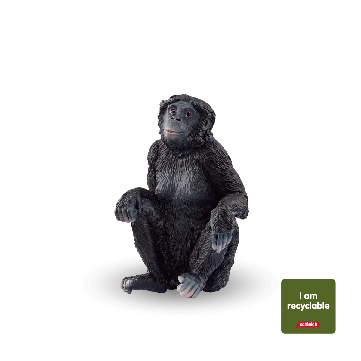 SCHLEICH 14800 Ours Polaire, dès 3 Ans, Wild Life - Figurine, 12,2 x 5,7 x 7 ,2 cm | Figurines d'animaux fidèles aux détails, figurine d'animaux fidèles aux détails, cadeau pour garçons et SCHLEICH 14800 Ours Polaire, dès 3 Ans, Wild Life - Figurine, 12,2 x 5,7 x 7 ,2 cm | Figurines d'animaux fidèles aux détails, figurine d'animaux fidèles aux détails, cadeau pour garçons et