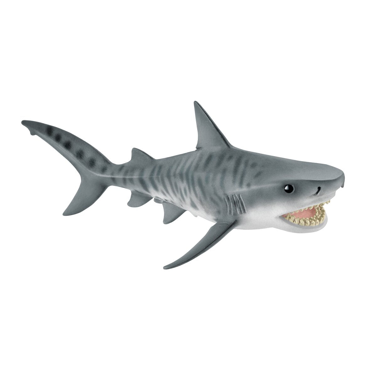 Requin tigre (bundle)