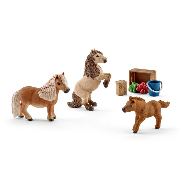 Mini Shetty Familie