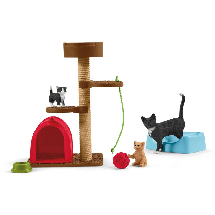 Divertissement pour chats mignons