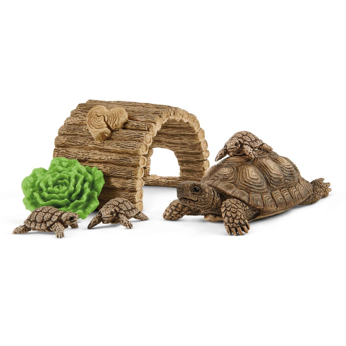 Zuhause für Schildkröten