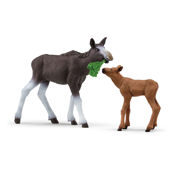 Elchkuh mit Kalb