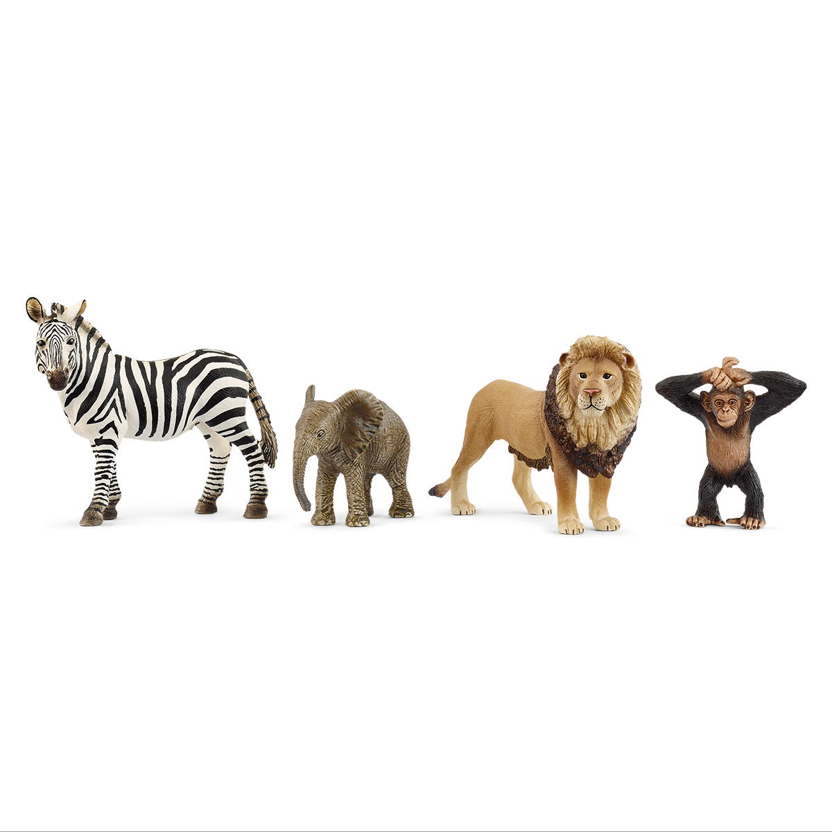 Wild Life Afrika Starter-Set