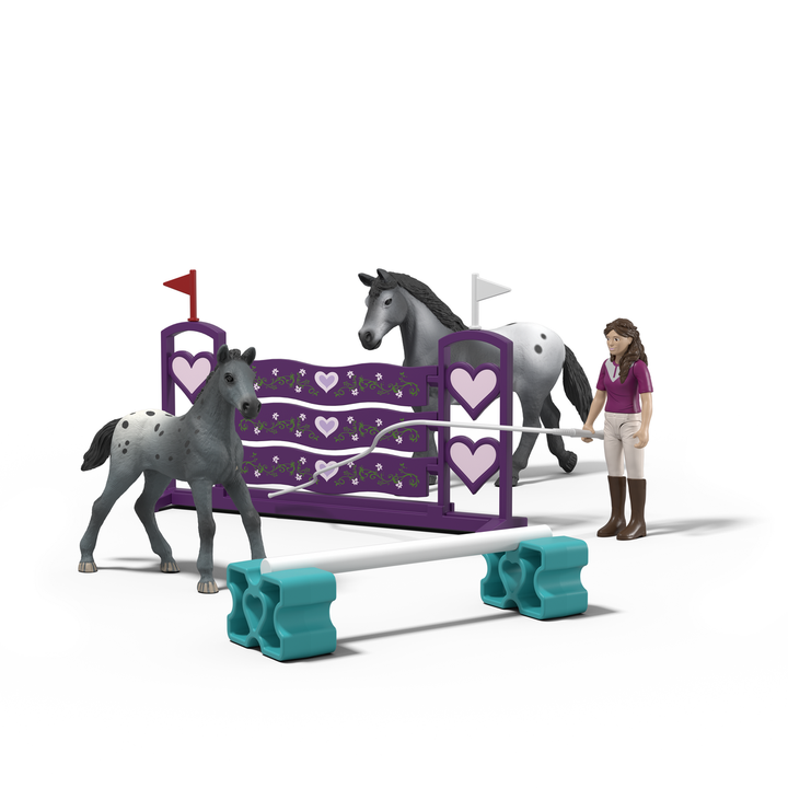 Lisa's Turnier Training