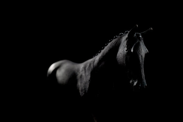 Une qualité haut de gamme