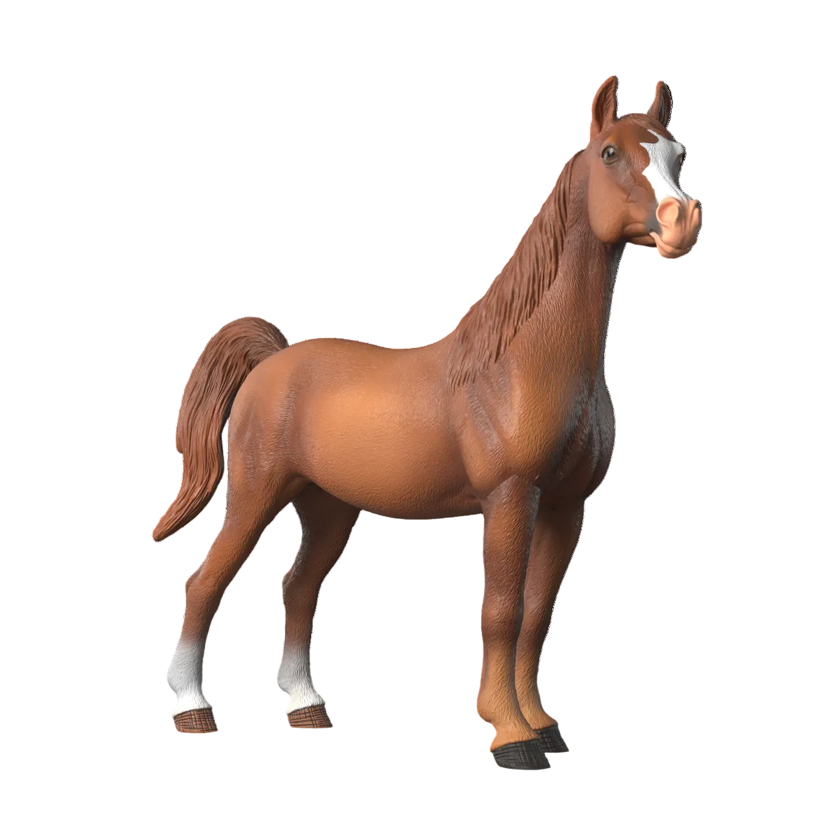 Amira, Jument Arabe 1:12