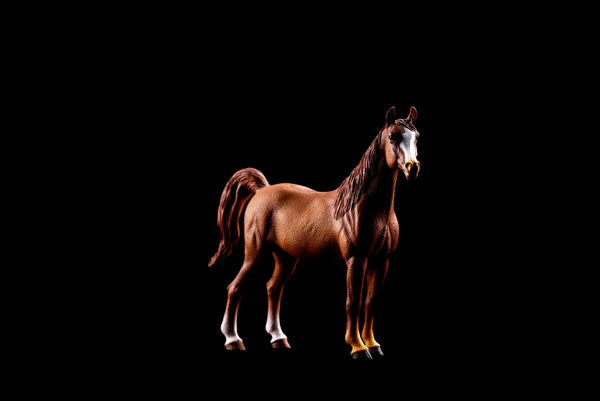 Une qualité haut de gamme