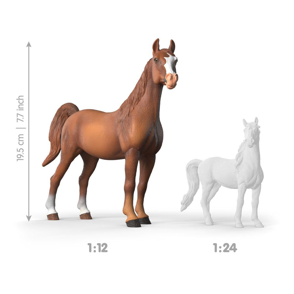 Amira, Jument Arabe 1:12