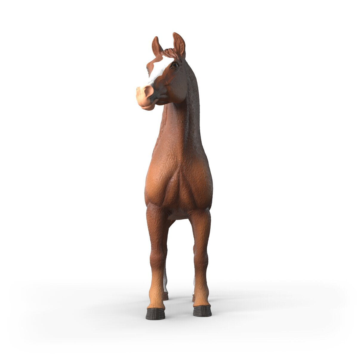 Amira, Jument Arabe 1:12