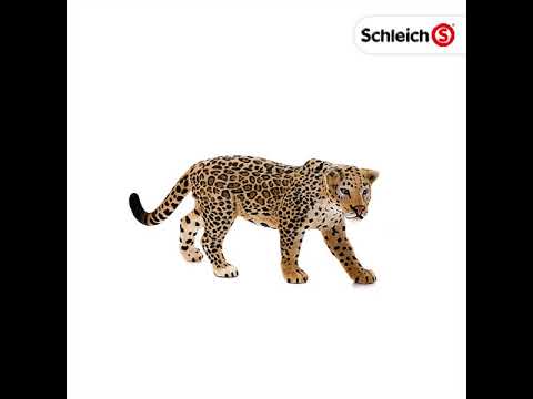Schleich - Guépard femelle pas cher : où acheter ? - Figurines Schleich - Guépard femelle pas cher : où acheter ? - Figurines