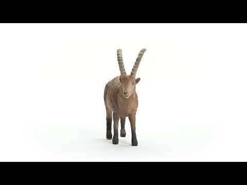 Schleich 42505 Lionne avec bébés, dès 3 ans, Wild Life - coffret, 1 Schleich 42505 Lionne avec bébés, dès 3 ans, Wild Life - coffret, 1